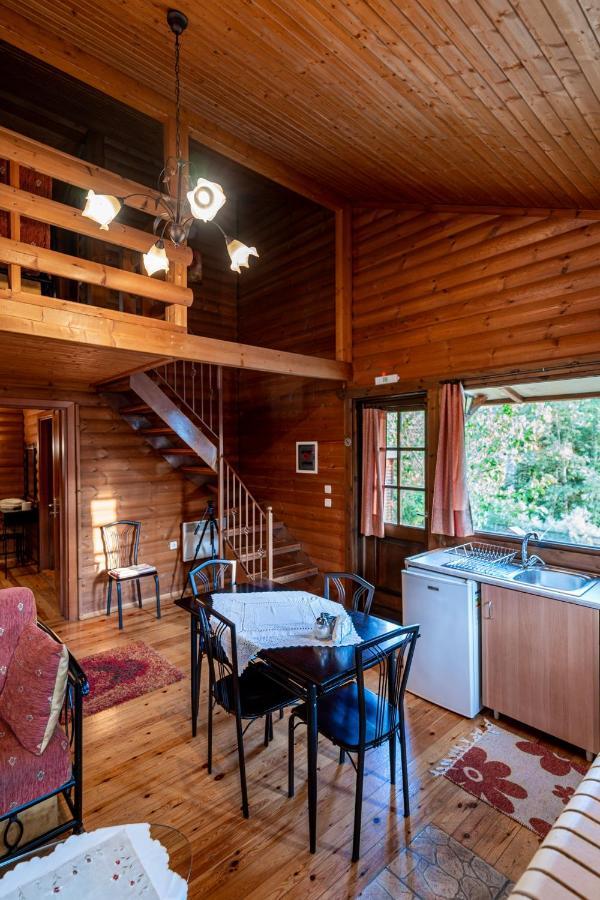 Chalet Likouresi Village Karpenísion Extérieur photo